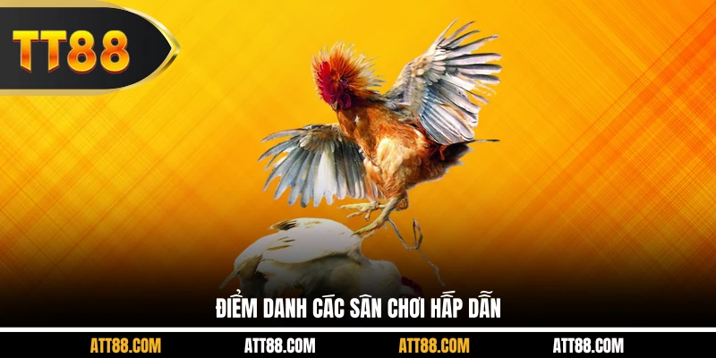 Điểm danh các sân chơi hấp dẫn